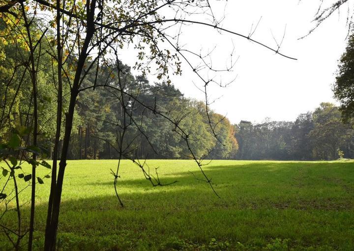 Pannekoekhuys Hoch-Elten